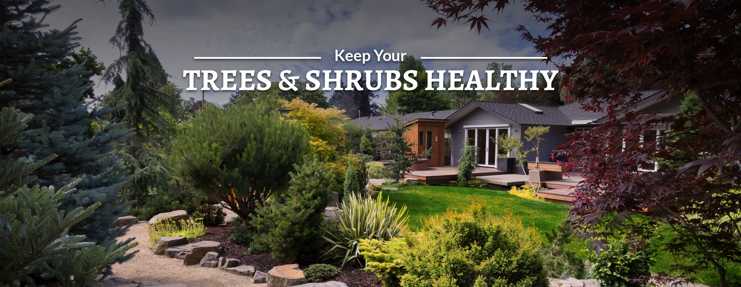slide-02-keep-your-trees-shrubs-healthy
